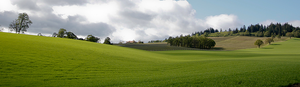 Nieruchomości Częstochowa